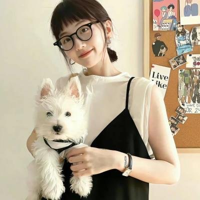 终结的感觉